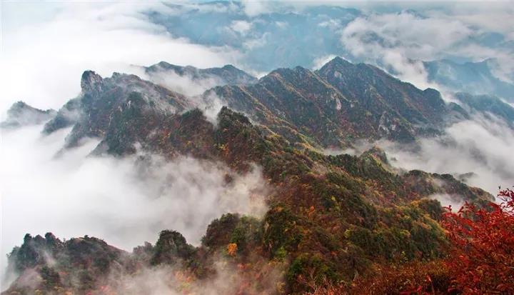 秋色渐染老君山，云海诱人如仙境！