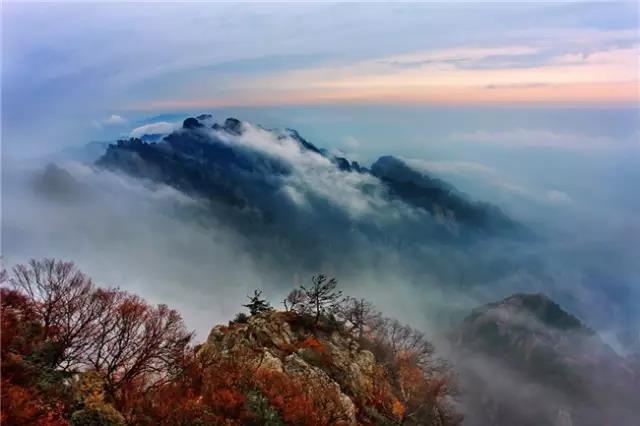 秋色渐染老君山，云海诱人如仙境！