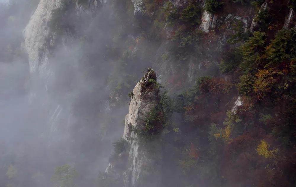 秋色渐染老君山，云海诱人如仙境！