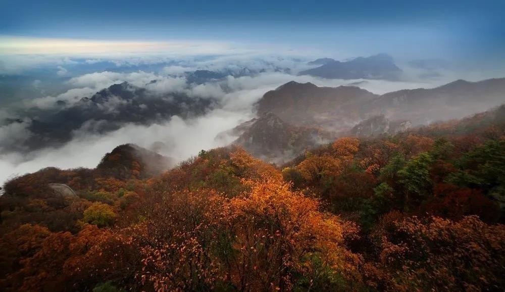 秋色渐染老君山，云海诱人如仙境！