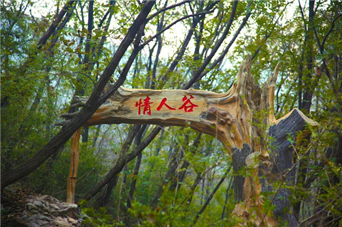 重启美景，大熊山仙人谷9月27日恢复开园！