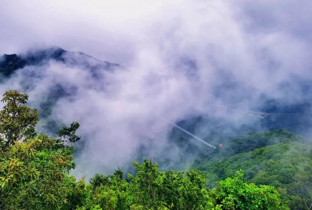 斜风细雨不须归,云雾袅袅九峰山!(斜风细雨不须归的意思是什么) 斜风细雨不须归,云雾袅袅九峰山!(斜风细雨不须归的意思是什么)