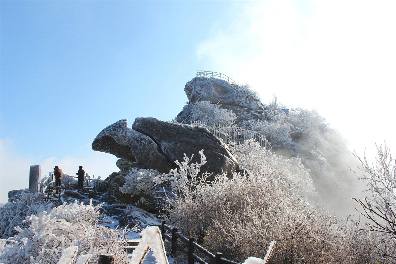 1月28日，鸡公山景区恢复开园！（鸡公山景区概况）