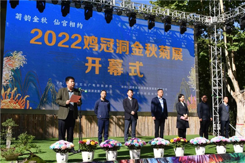 花海有约！2022鸡冠洞金秋菊展开幕！（鸡冠洞春节开放吗）