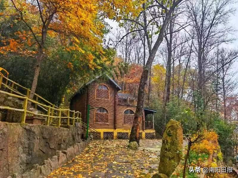 河南老界岭：万亩彩林进入最佳观赏期（南阳老界岭天气预报15天查询）