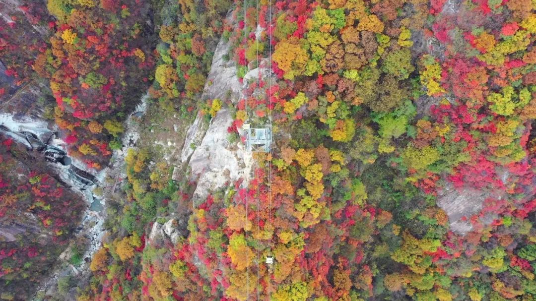 看诗人笔下的老君山秋天（老君山秋天好玩吗）