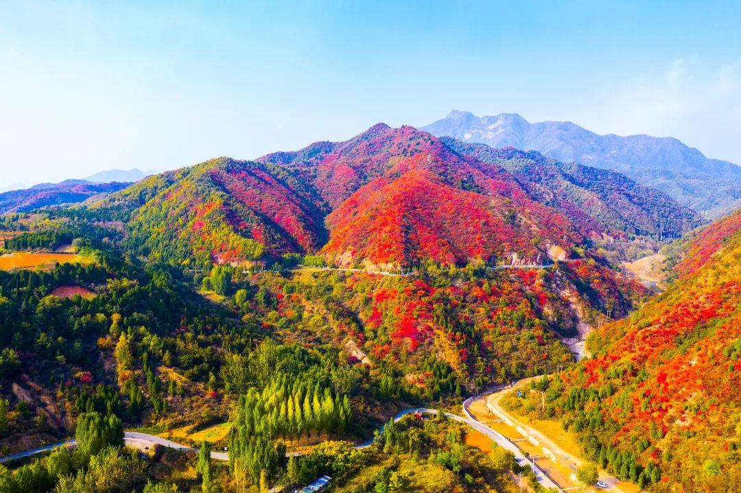 济源王屋山红叶登上央视！快去打卡！（济源王屋山温度）