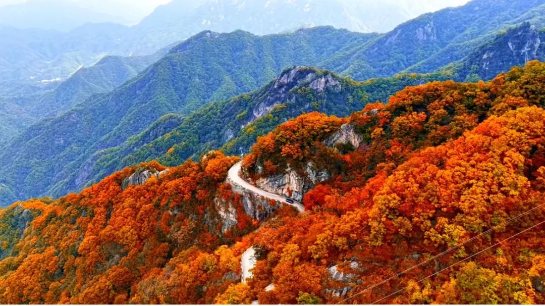 注意啦！老君山原创短视频征集活动第三期火热进行中（无水印视频素材下载）