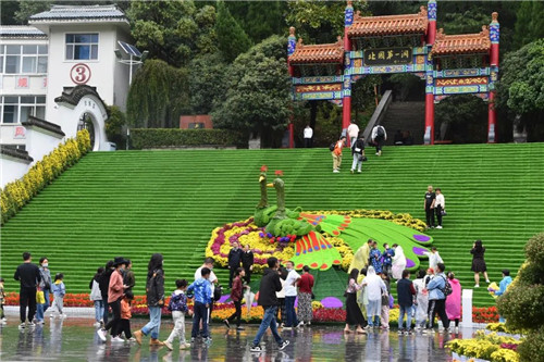 【欢度国庆】秋雨绵绵，热情不减！鸡冠洞金秋菊展引客来！（欢度国庆中秋黑板报）