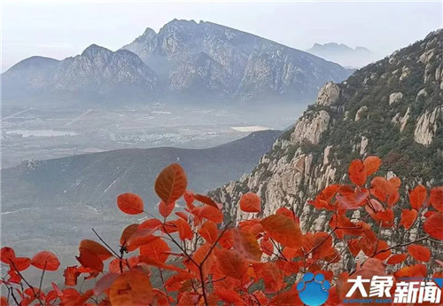 嵩山：漫山红叶正当时 屏赏万里醉人秋色（漫山遍野的红色 什么成语）
