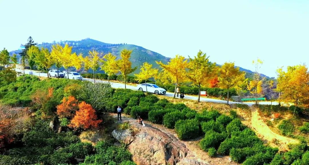 仿佛打翻了调色盘！邂逅西九华山初冬美景（九华山风景区景点图）