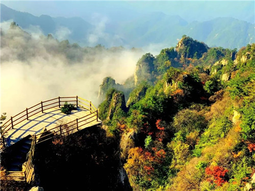 这是你没见过的老君山！（老君山是什么地方?）