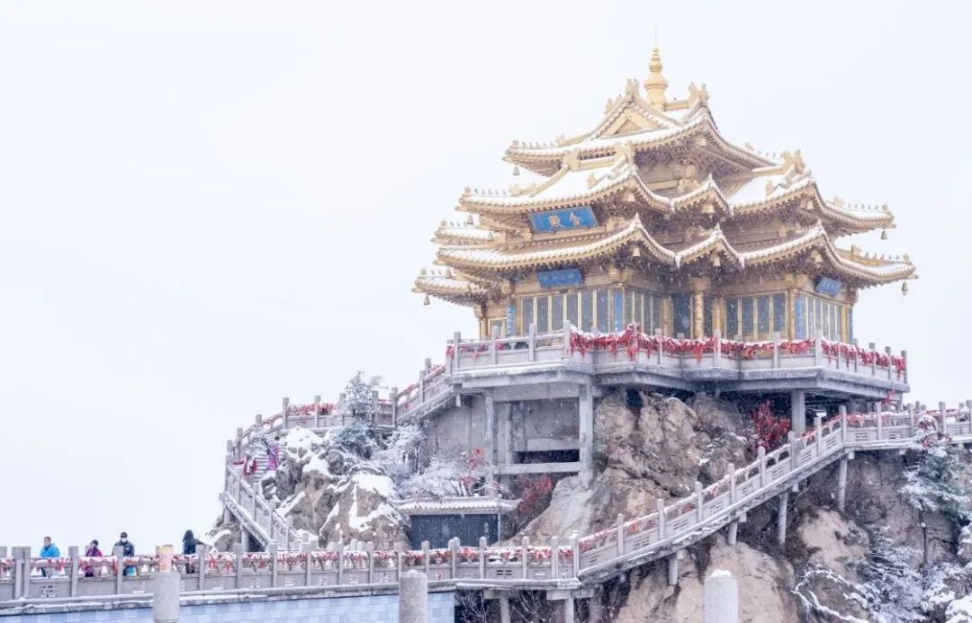 霸占全国赏雪TOP榜！这里的冬天，藏着美到极致的雪景！（冬天去哪个城市看雪）
