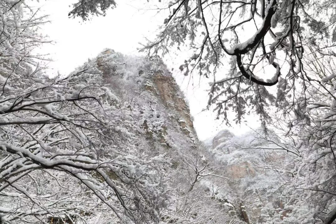 双十二福利来啦：来仙门山赏雾凇冰挂，体验北国风光（双十二福利说说）