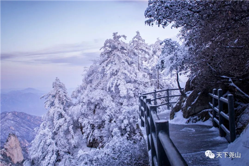 奔赴尧山，畅爽雪乡