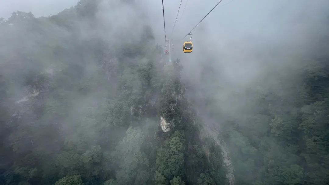 老君山|夏天所有的模样都在这里了(老君山太美了) 老君山|夏天所有的模样都在这里了(老君山太美了)