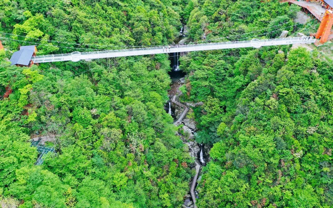 山野美景 溪流瀑布，龙津溪地景区带你过23℃的夏天！（龙津溪地景区门票）