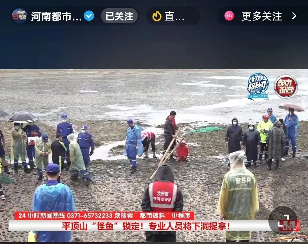 对“汝州怪鱼”说NO，九峰山景区禁止放生！（汝州九峰山开放吗）
