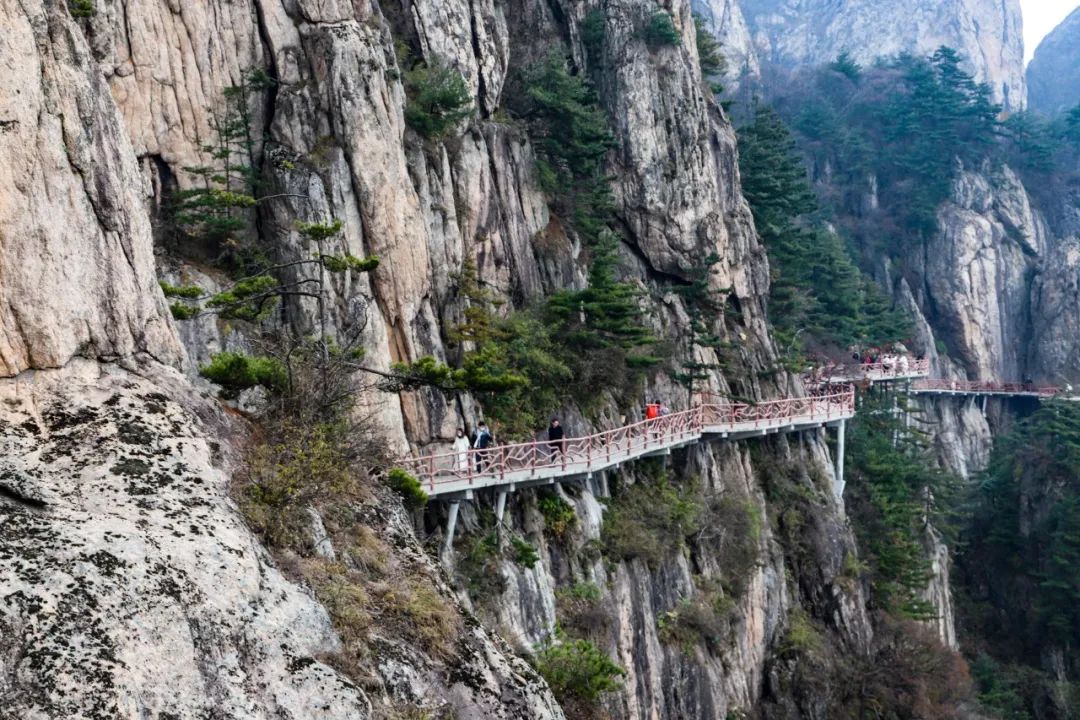 老君山：九月观景游山 不要错过这些优惠和活动（九月份的老君山）