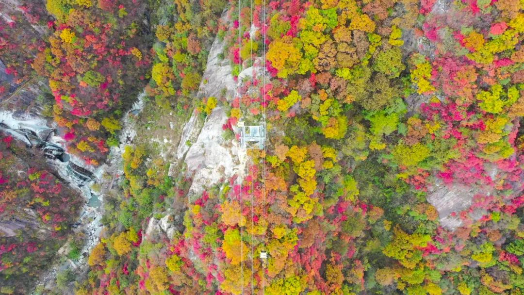 看！诗人笔下的老君山秋天！（老君山秋天什么时候最好看）