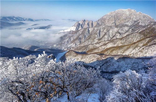 这个冬季，许昌邀你冰情雪韵狂欢游（许昌有冰雪世界吗）