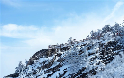 最新实拍！白云山雾凇雪景奇观曝光！（白云区云雾山）