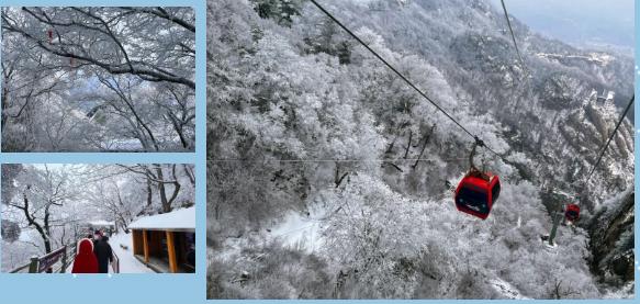 老君山 | 扫雪除冰，稳安全保畅通（雪天老君山）