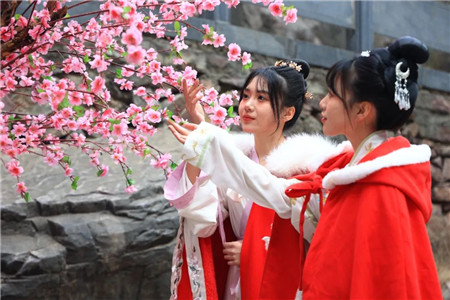 花开新乡南太行，共赴春日好时光（花开太行歌词）