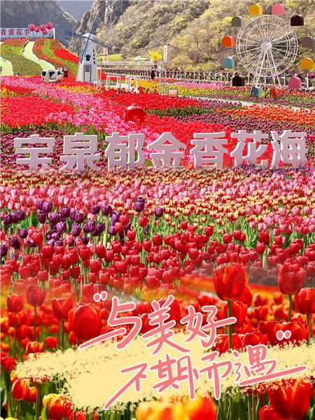 这个周末，赴一场宝泉的春风之约（这个周末,赴一场宝泉的春风之约英语）