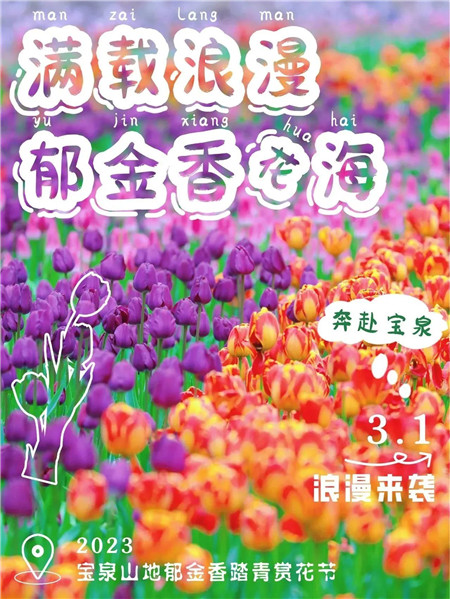 官宣：春日流量密码就在宝泉（宣告春天音译）