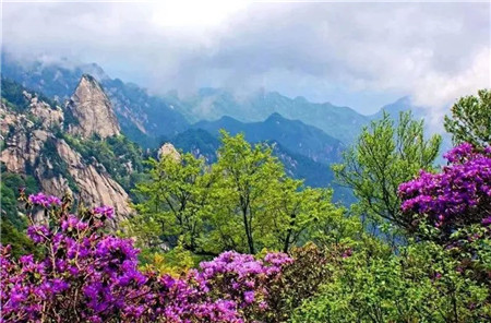 尧山：迎一季春来，待一山花开（尧山风景区旅游攻略图）