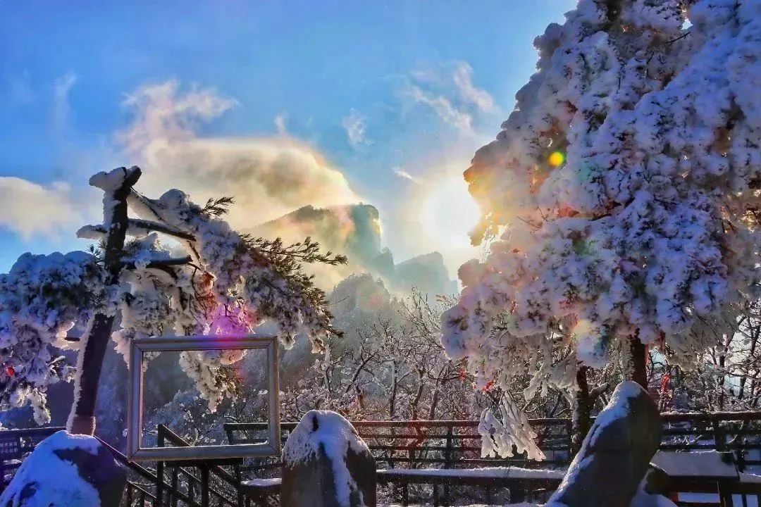 雪后老界岭，颜值爆表！（老界岭滑雪场图片欣赏）