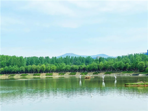 鹰城：风光旖旎白鹭洲 众鸟争栖鹭盘桓（白鹭洲鹫峰寺佛像图片）