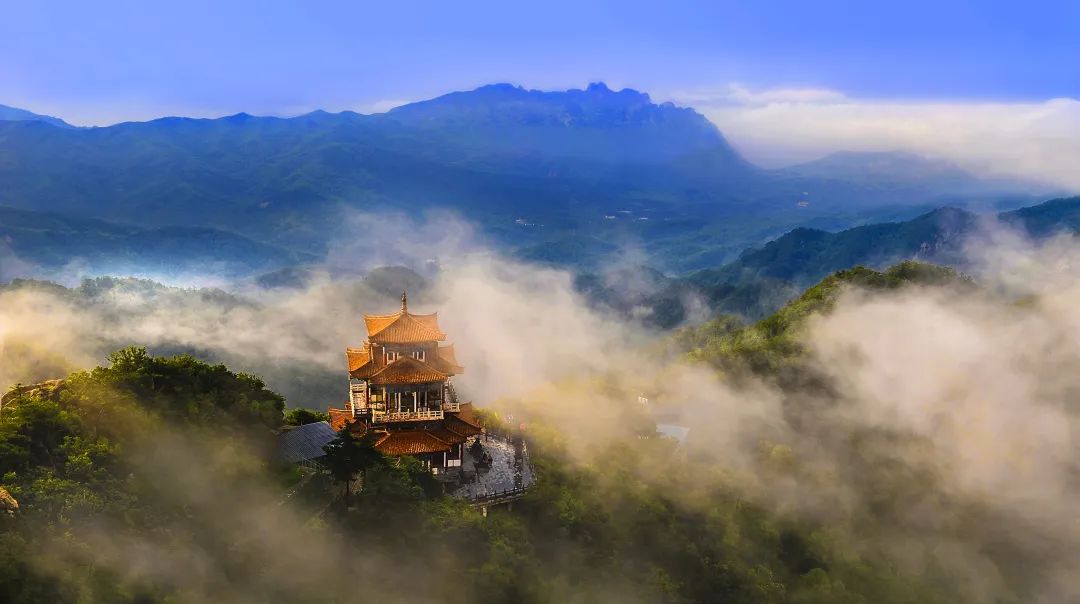 正是好春光！白云山春景渐盛，踏青出游正当时！