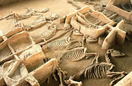 ���������ǳ����Ӳ����