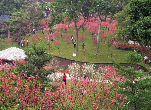 广州白云山明珠楼旅游区(广东外语外贸大学旁)的桃花涧是广州市